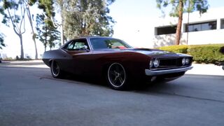 cars 1973/3