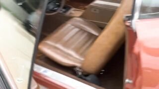 cars 1973/4