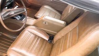 cars 1973/5