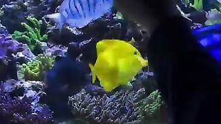 Aquascape 15