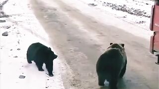 Facebook_1720079789263 #animal