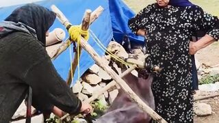 Life in village 2