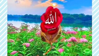 Tilawat quraan 3