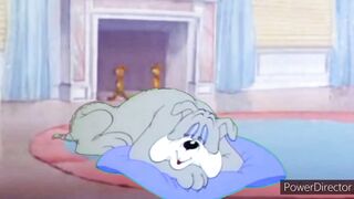 Tom and Jerry Cartoon