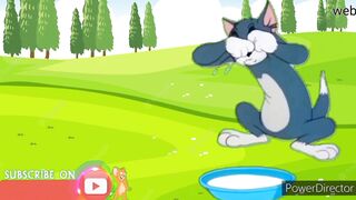 Tom and Jerry Cartoon