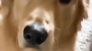 She Left Him at Home And This Happened