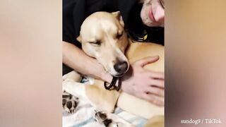 Funniest Animal Videos Videos to Keep You Smiling!