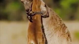 There is nothing like a hug from mum