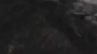 Funny videos ????????????????????