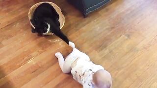 Funny babies and cats