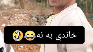Funny memes