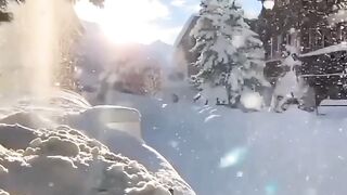 Beautiful view of nature 215