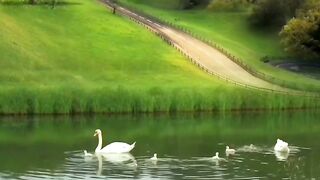 Beautiful view of nature 216