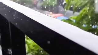 Beautiful view of nature 218