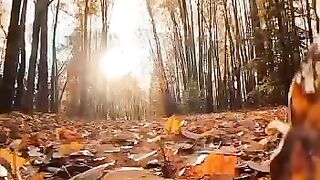 Beautiful view of nature 222