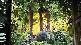Beautiful view of nature 224