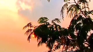 Beautiful view of nature 225