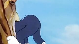Tom and Jerry 84