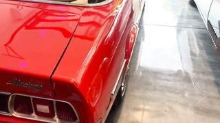 cars 1973/62
