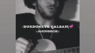 Ehsan Daryodel