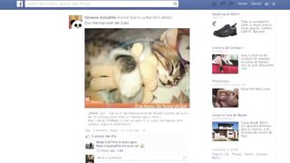 Video Buzz de la semaine