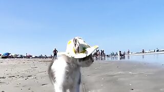 In beach lol