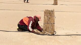 In desert