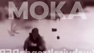 News Cole Prevost Dog Video Twitter Viral Original Cole Prevost Dog Video Reddit