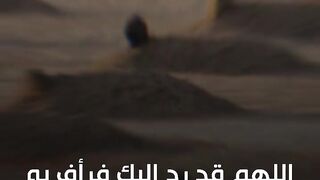 كل نفس ذائقه الموت