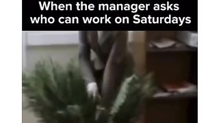 Saturday seen in office