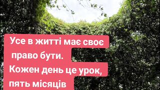Слова