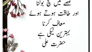 aqwal zareen 2