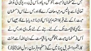 شرعی مسائل اور ان کا حل 381