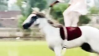 گھوڑے کی سواری
