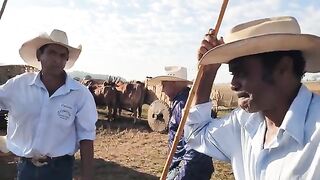 Vida na zona rural
