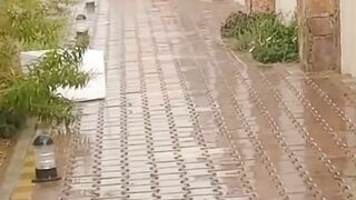 Beautiful City Of Abha Saudi Arabia