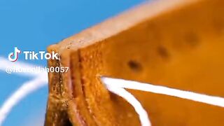 videos 156