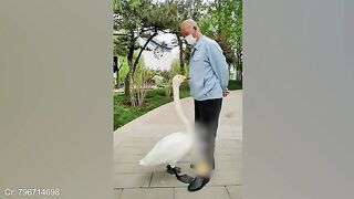 Funny_ANIMAL_Videos_Show_Us_The_True_Meaning_Of_Love___Best_Video_2024