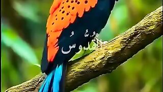 Surah Rehman voice