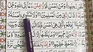 qari saeede ul