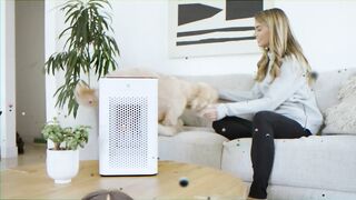 Medify MA-25 Air Purifier: Enjoy Clean and Healthy Air in Your Home Now!