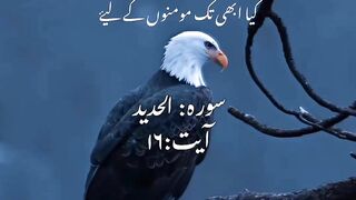 Urdu Quran # #quran #trending #viral 5