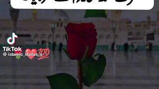 Hazrat Muhammad saw Ki hadees 14