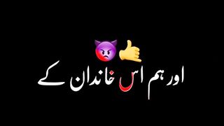 new tiktok video rajpoot brand