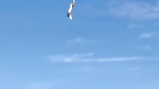 Dubai air show