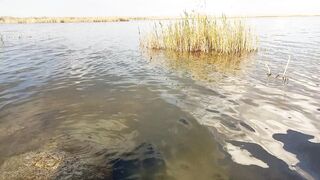 بحيره صغيرة