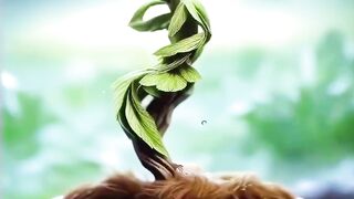 Plant dancing