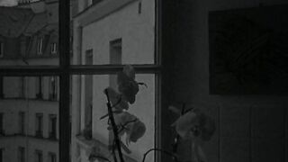 في هذه الحياة