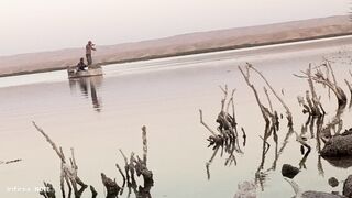 دبكة شعبية