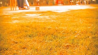 Cricket is my love